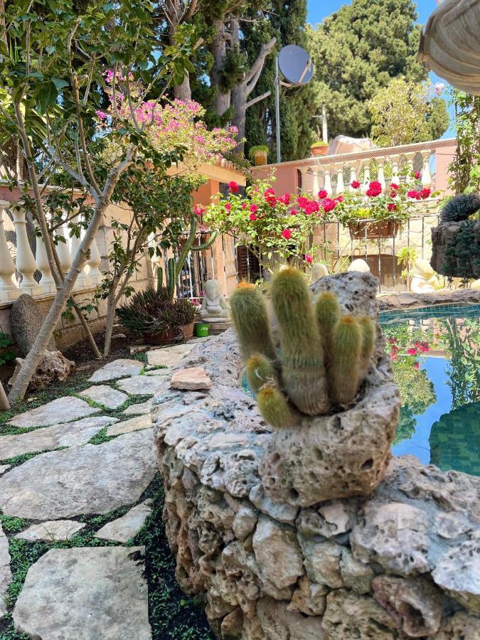 B&B Villa Regina Санта-Доменика Экстерьер фото
